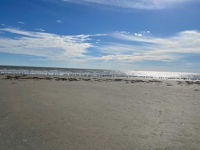 801 E Beach Drive TW2108, Galveston, TX 77550