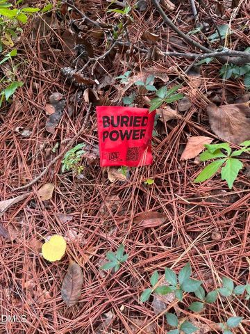 1318 Elmira Avenue, Durham, NC 27707