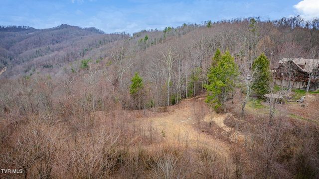 614 Tulip Poplar Trail, Butler, TN 37640
