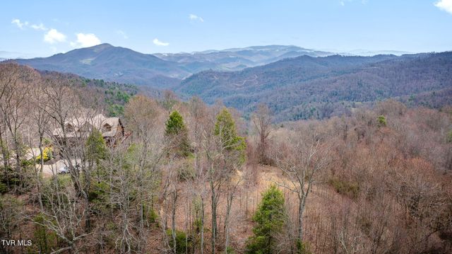 614 Tulip Poplar Trail, Butler, TN 37640