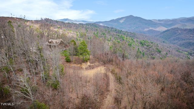 614 Tulip Poplar Trail, Butler, TN 37640