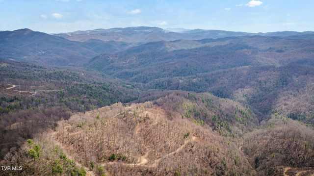 614 Tulip Poplar Trail, Butler, TN 37640