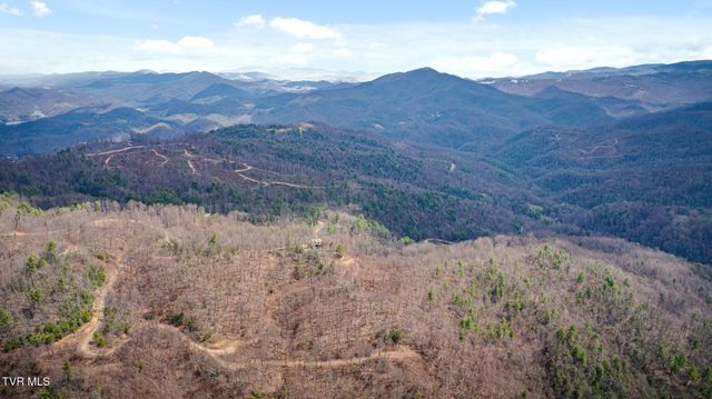 614 Tulip Poplar Trail, Butler, TN 37640