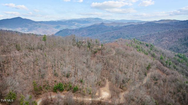 614 Tulip Poplar Trail, Butler, TN 37640