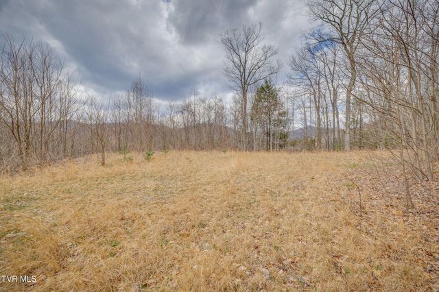 614 Tulip Poplar Trail, Butler, TN 37640