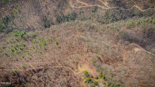 614 Tulip Poplar Trail, Butler, TN 37640