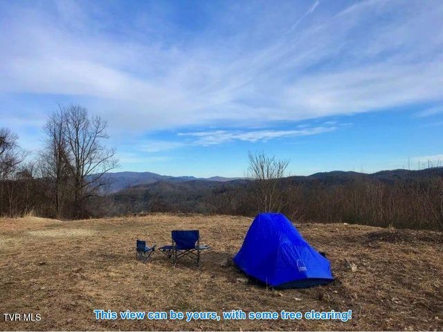 614 Tulip Poplar Trail, Butler, TN 37640