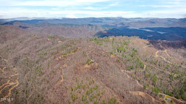 614 Tulip Poplar Trail, Butler, TN 37640