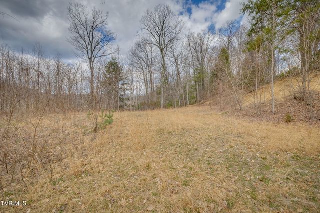 614 Tulip Poplar Trail, Butler, TN 37640