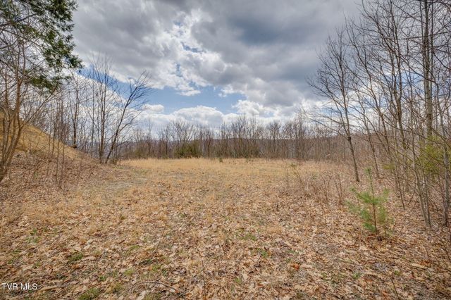 614 Tulip Poplar Trail, Butler, TN 37640