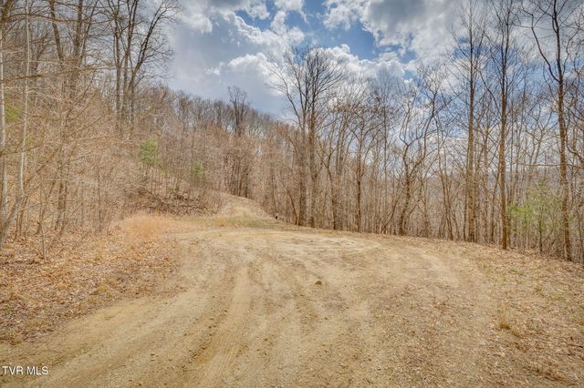 614 Tulip Poplar Trail, Butler, TN 37640