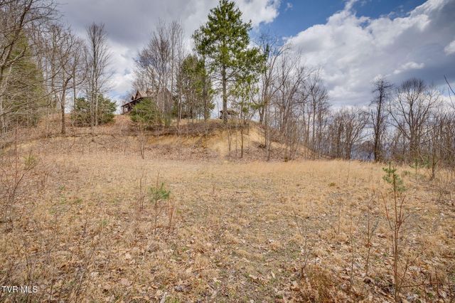614 Tulip Poplar Trail, Butler, TN 37640