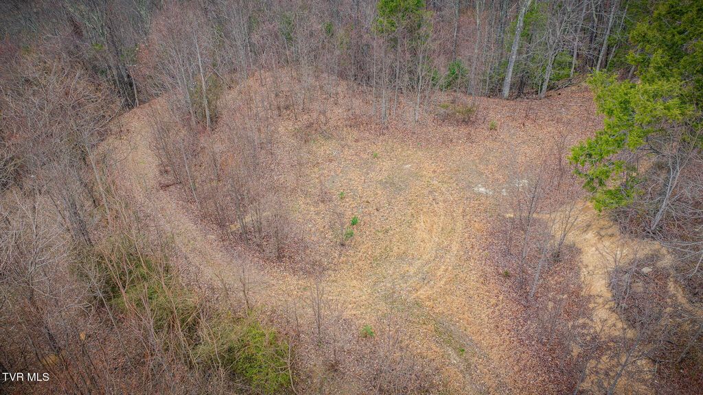 614 Tulip Poplar Trail, Butler, TN 37640