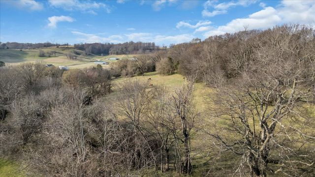 2096 Coleman Rd, Cornersville, TN 37047