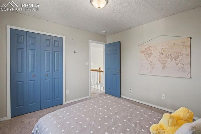 7942 French Road, Colorado Springs, CO 80920