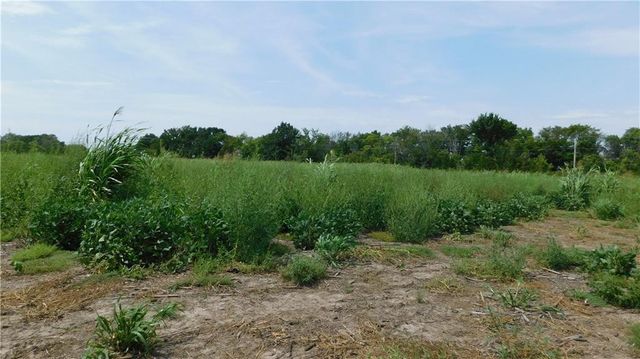 1171 Lot 4 Road, Holden, MO 64040