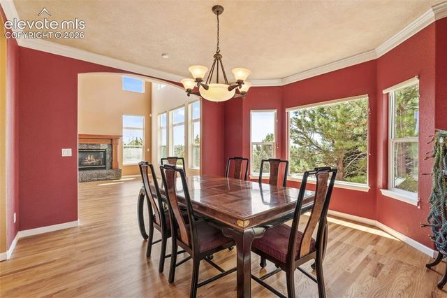 15150 Jessie Drive, Colorado Springs, CO 80921