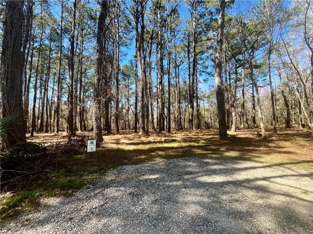 Lot 3 Osprey Cove, Darien, GA 31305