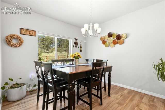 10446 Odin Drive, Colorado Springs, CO 80924