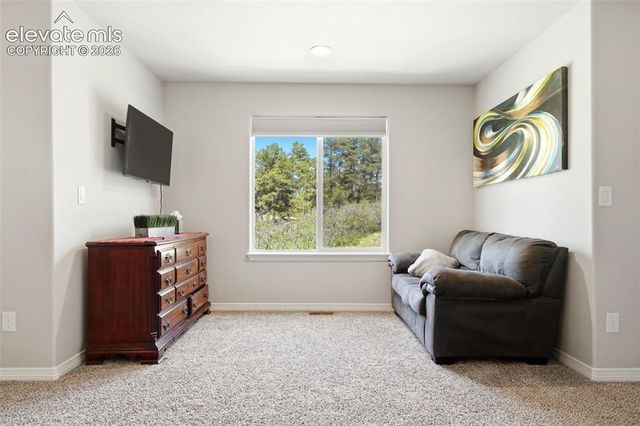 10446 Odin Drive, Colorado Springs, CO 80924