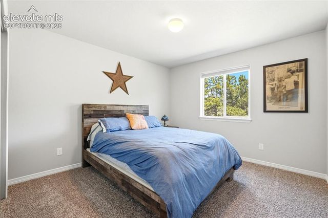 10446 Odin Drive, Colorado Springs, CO 80924