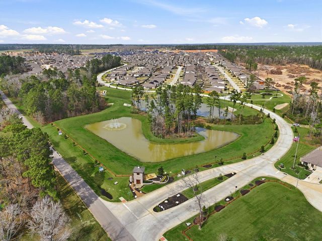 40762 Rosemary Rain Lane, Magnolia, TX 77354