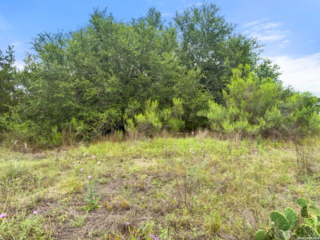 419 Cielo Vista, Canyon Lake, TX 78133