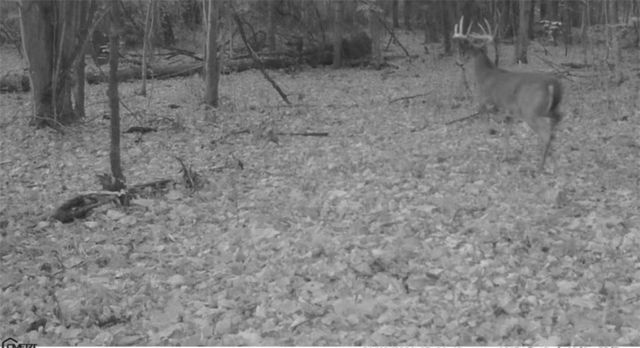 3283 Roosevelt Highway, Hamlin, NY 14464