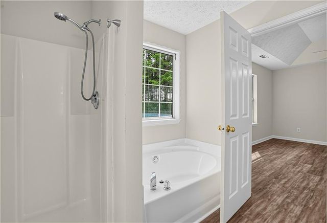116 Goldleaf Drive, Hampton, GA 30228