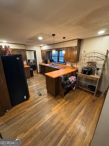 781 Thomas Street, Roopville, GA 30170