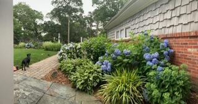 15 Sunset Pines Road, South Yarmouth, MA 02664