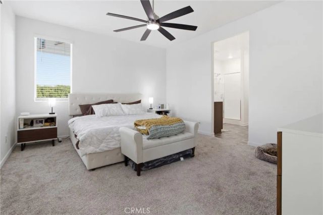 31336 Settlers Road, Winchester, CA 92596