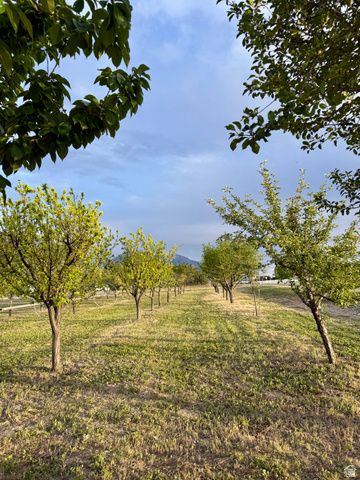 11363 S 5600 W, Payson, UT 84651