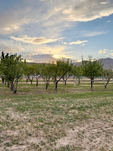 11363 S 5600 W, Payson, UT 84651