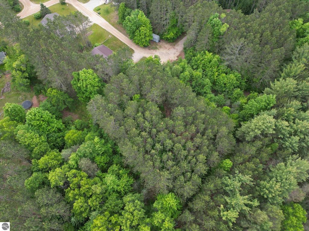 Image 3 of property listing at TBD Primrose Lane, Farwell, MI 48622