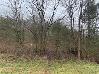 Lot 6 Ringertown Road, Murrysville, PA 15632