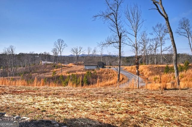 28 Mountaintown Overlook, Ellijay, GA 30540
