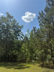 0 Bonnie Blue Road, Prattville, AL 36067