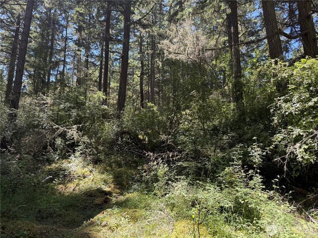 0 Thimbleberry Lane, Friday Harbor, WA 98250