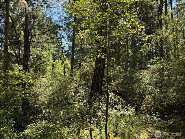 0 Thimbleberry Lane, Friday Harbor, WA 98250