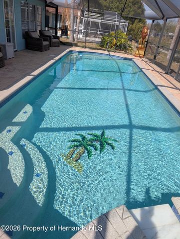 10310 Amadeus Drive, Port Richey, FL 34668