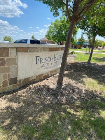 1012 Mist Flower Drive, Little Elm, TX 75068