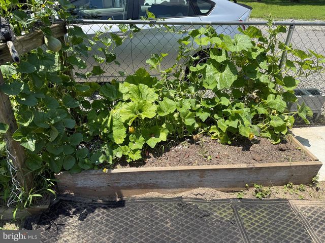 12226 BRISTLE CONE LN, Ruther Glen, VA 22546