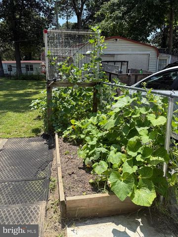 12226 BRISTLE CONE LN, Ruther Glen, VA 22546