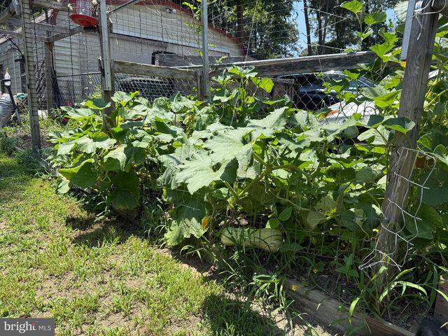 12226 BRISTLE CONE LN, Ruther Glen, VA 22546