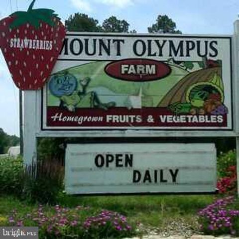 12226 BRISTLE CONE LN, Ruther Glen, VA 22546