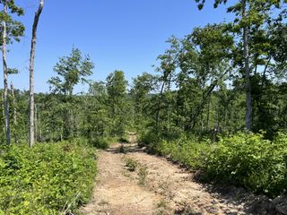 0 Trace Creek Rd, W, Waverly, TN 37185