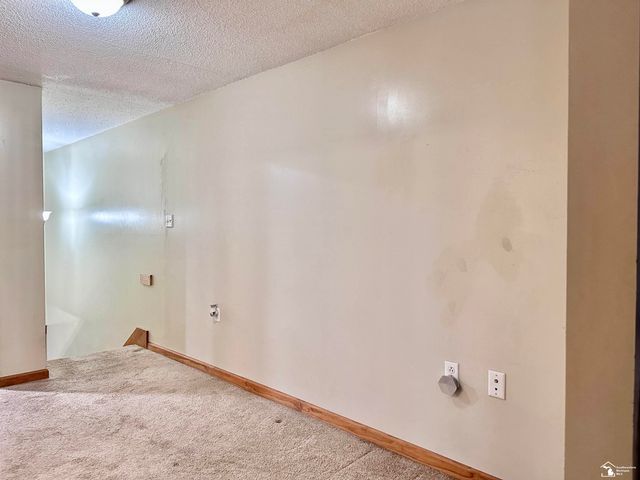 37 W Chestnut Street, Petersburg, MI 49270