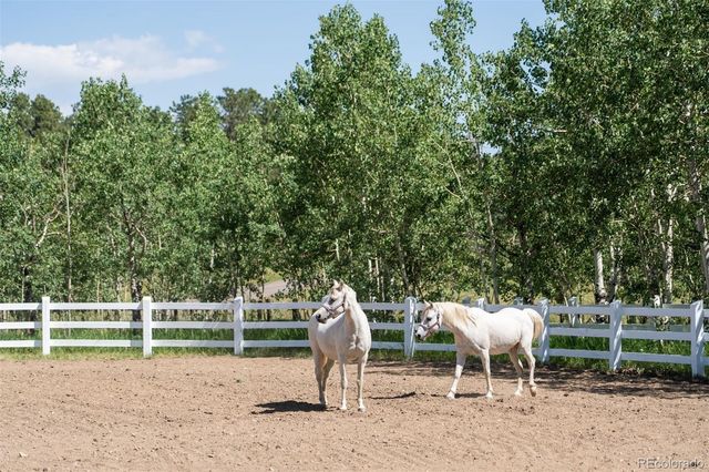 12351 S Ridge Road, Conifer, CO 80433