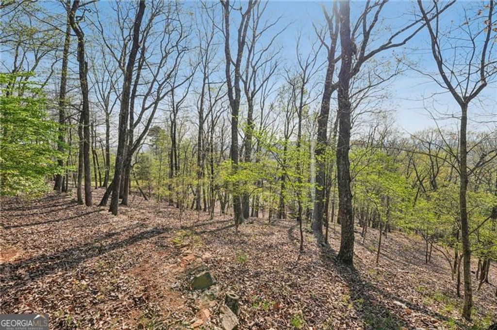 8240 Cox Mountain Drive, Big Canoe, GA 30143
